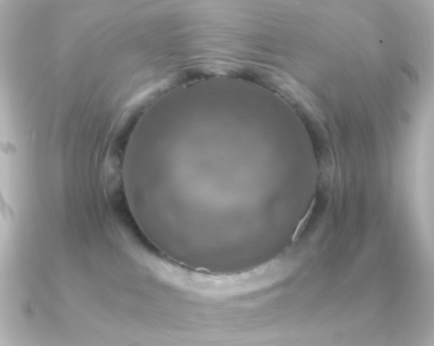 X0000091200043200708091315