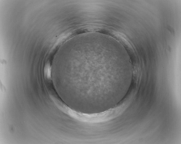 X0000091200046200708091315