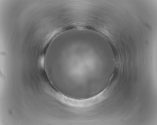 X0000091200047200708091315