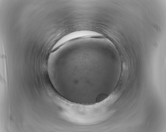 X0000091200048200708091315