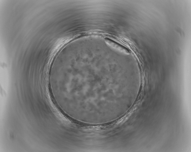 X0000091200049200708091314