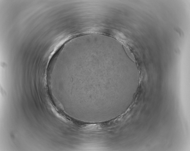 X0000091200050200708091314