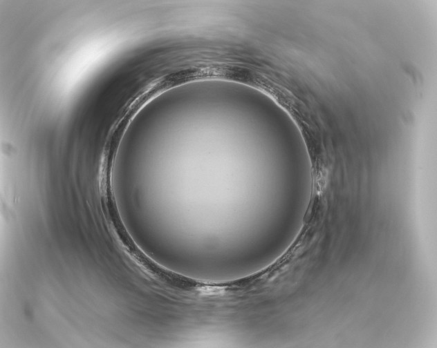 X0000091200052200708091314