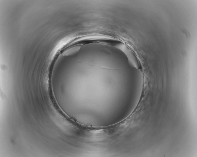 X0000091200054200708091314