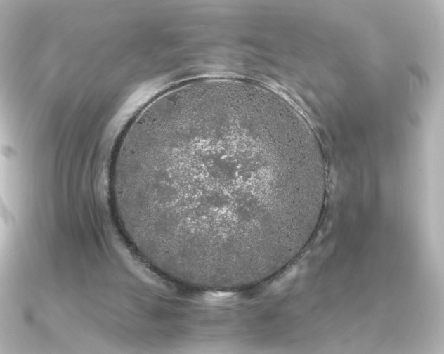 X0000091200055200708091314