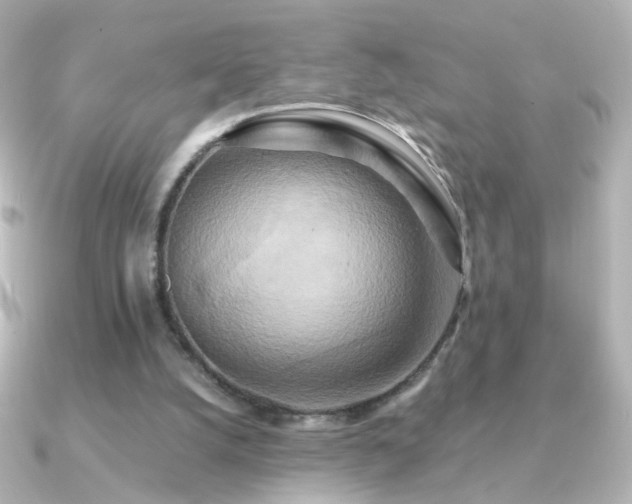 X0000091200056200708091314