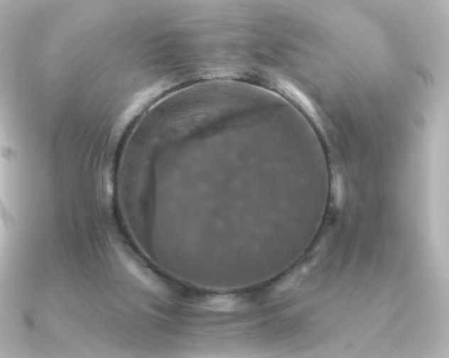 X0000091200059200708091314