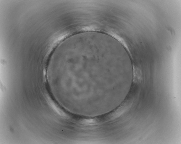 X0000091200061200708091314