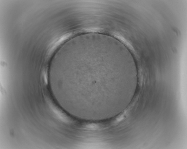 X0000091200062200708091314