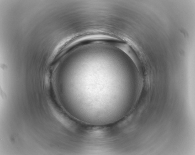 X0000091200064200708091314