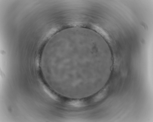 X0000091200065200708091314