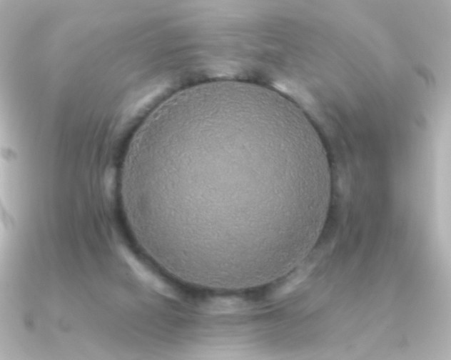 X0000091200066200708091314