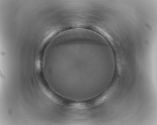 X0000091200067200708091314
