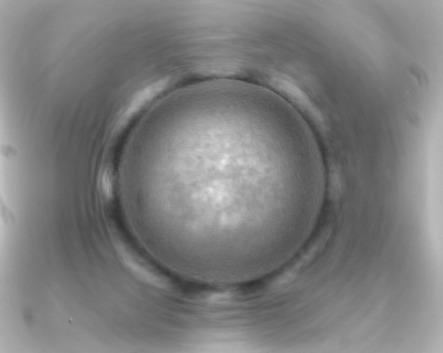 X0000091200068200708091314