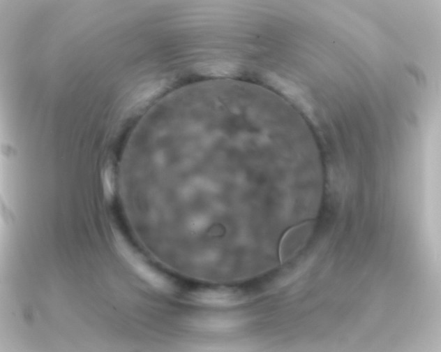 X0000091200069200708091314