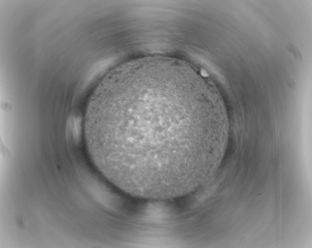 X0000091200070200708091314