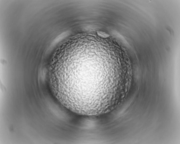 X0000091200071200708091314