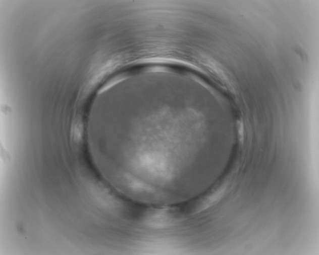 X0000091200072200708091314
