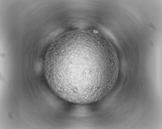 X0000091200073200708091314