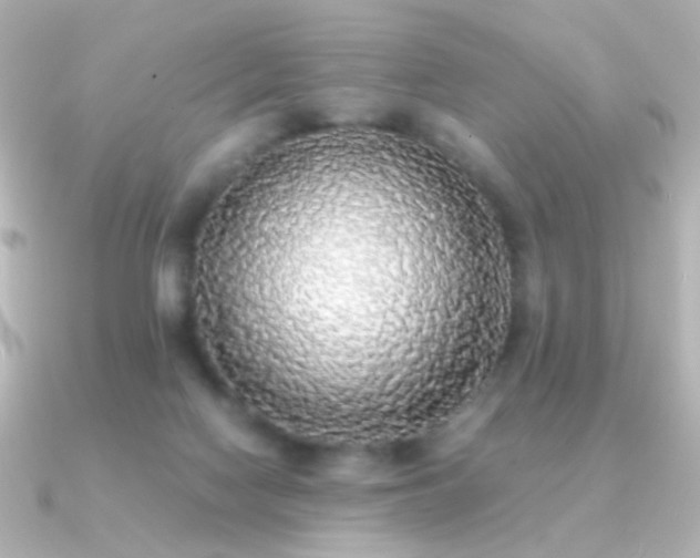 X0000091200074200708091314