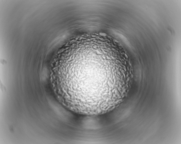 X0000091200077200708091314
