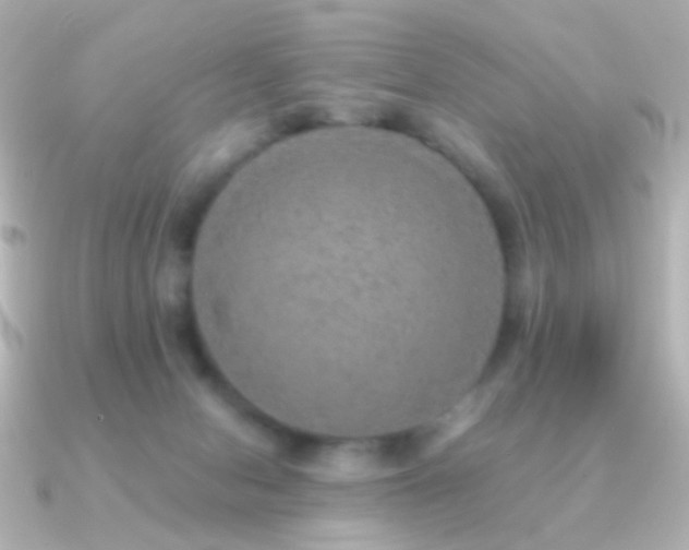 X0000091200078200708091314