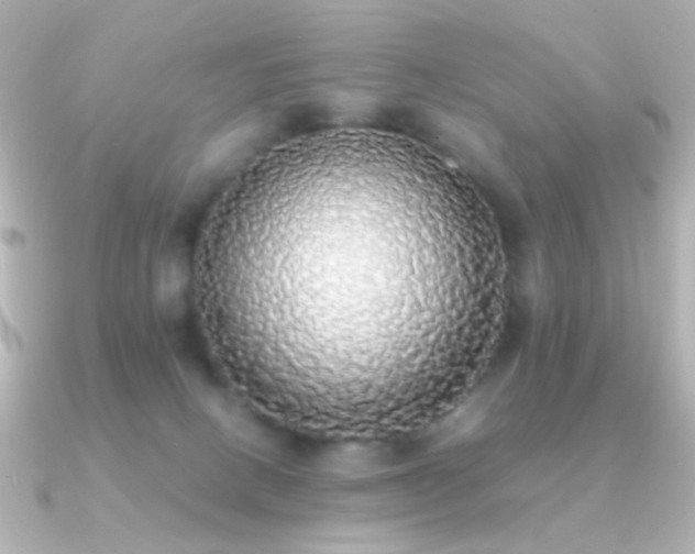 X0000091200082200708091314