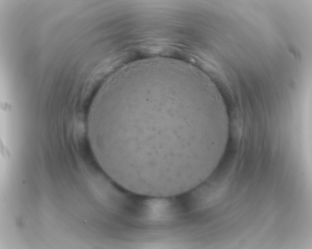 X0000091200085200708091314