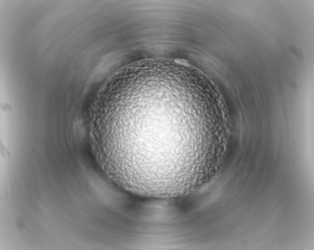 X0000091200086200708091314