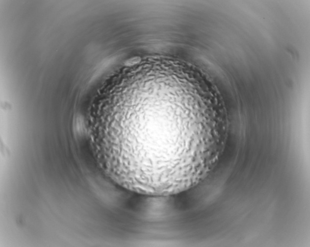 X0000091200089200708091314