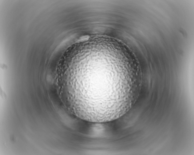 X0000091200091200708091314