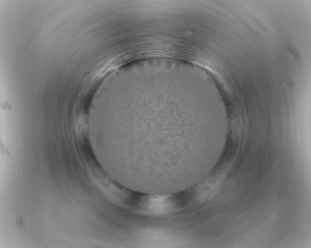 X0000091200093200708091315