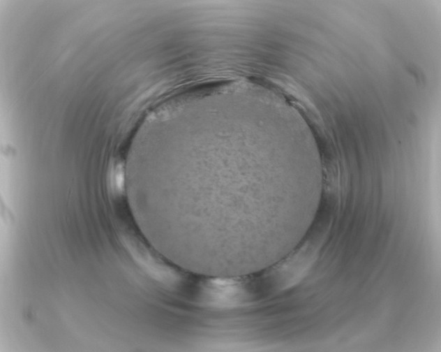 X0000091200095200708091315