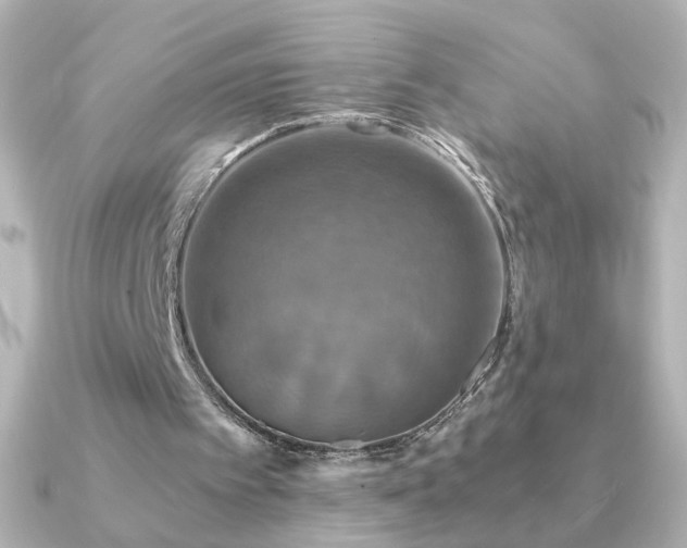 X0000091200097200708091314