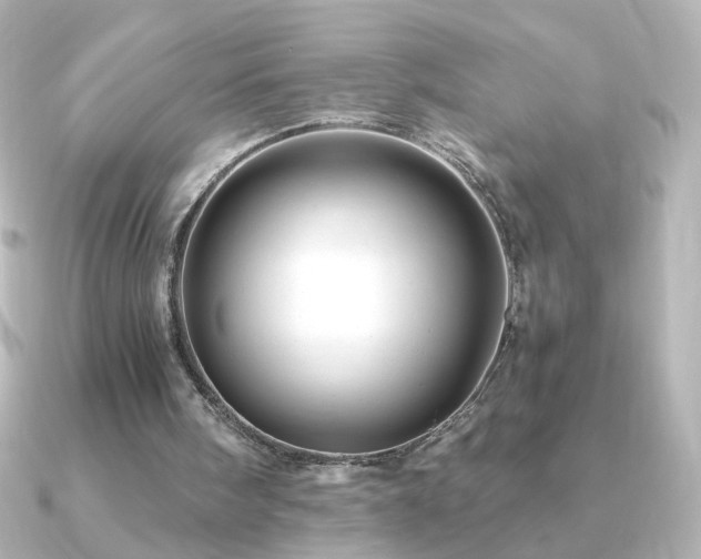 X0000091200098200708091314