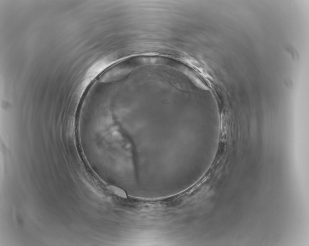 X0000091200099200708091314