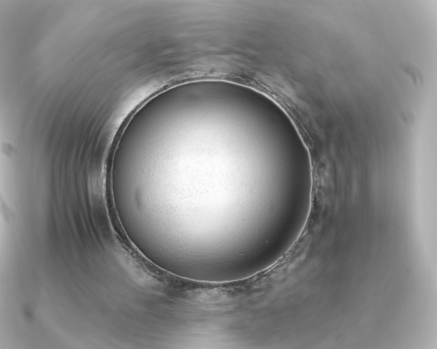X0000091200100200708091314