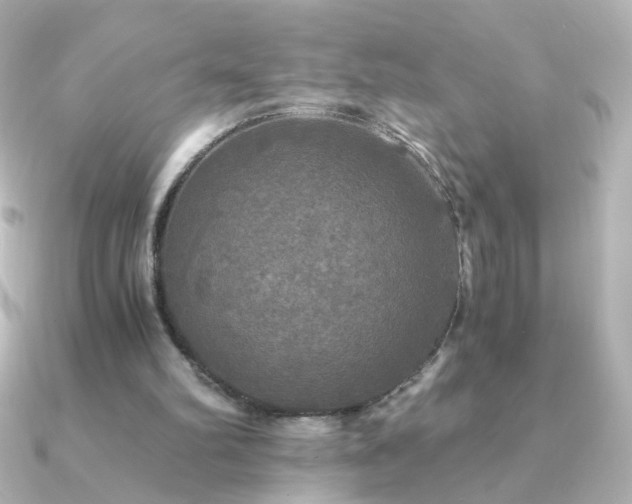 X0000091200102200708091314