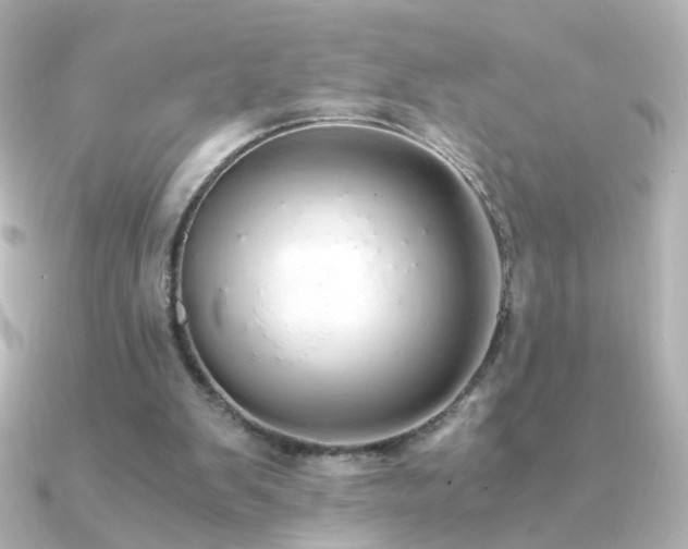 X0000091200103200708091314