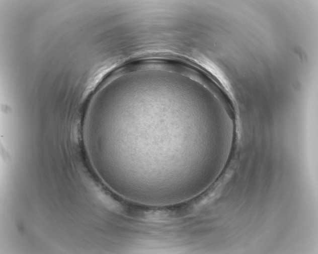 X0000091200105200708091314