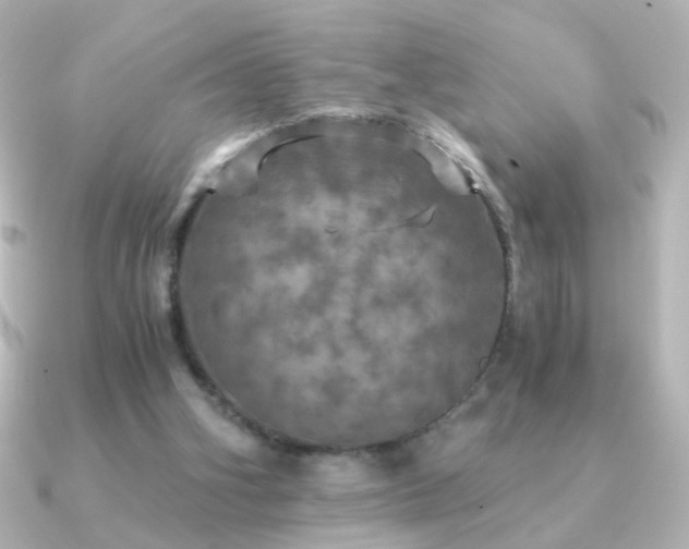 X0000091200106200708091314
