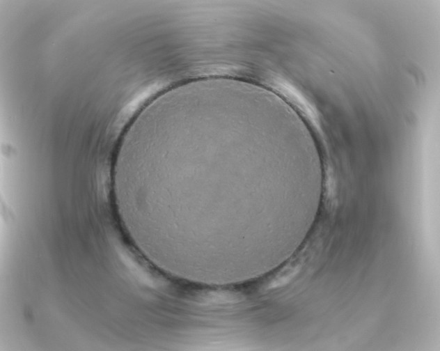 X0000091200107200708091314