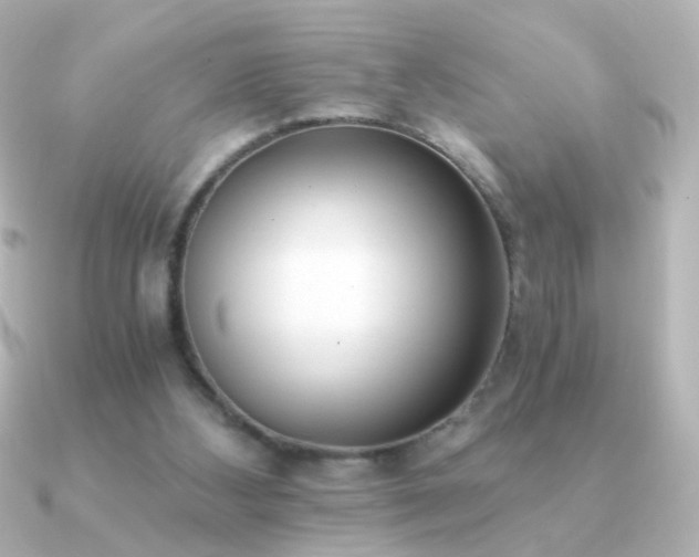 X0000091200108200708091314