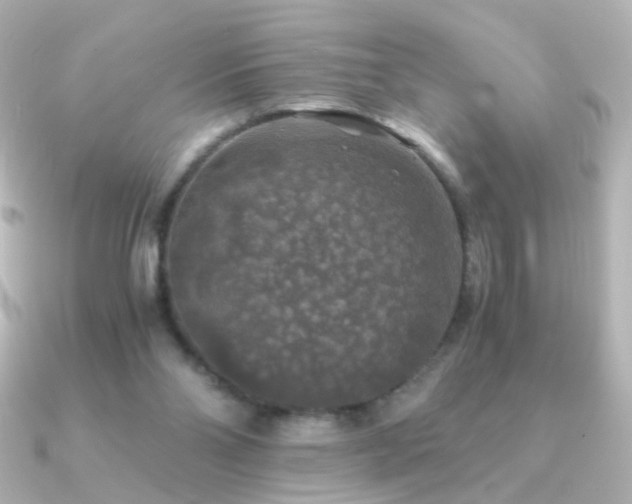 X0000091200110200708091314