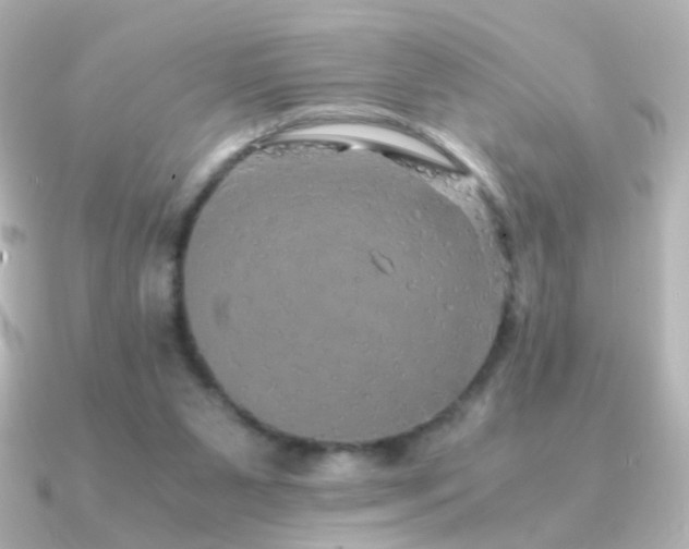 X0000091200111200708091314