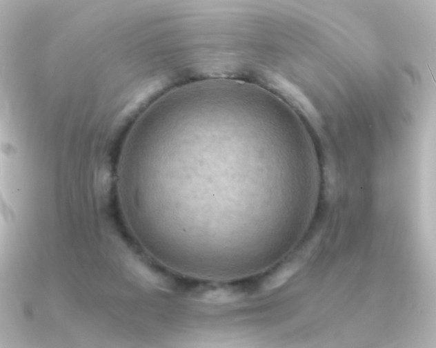 X0000091200113200708091314