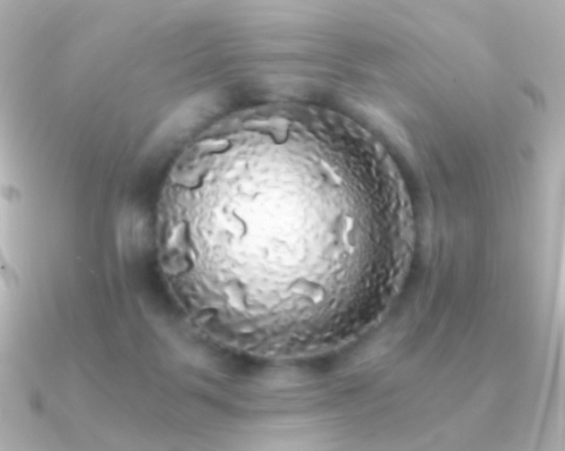 X0000091200123200708091314