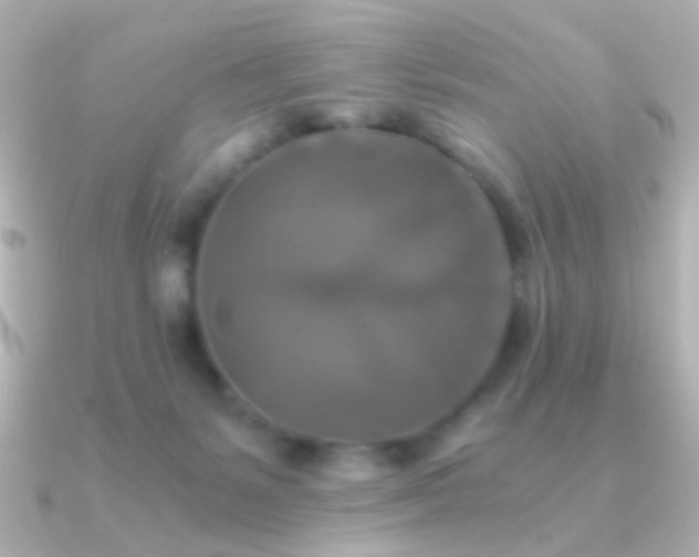 X0000091200127200708091314