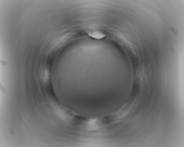 X0000091200130200708091314