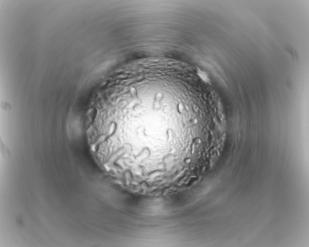 X0000091200131200708091314